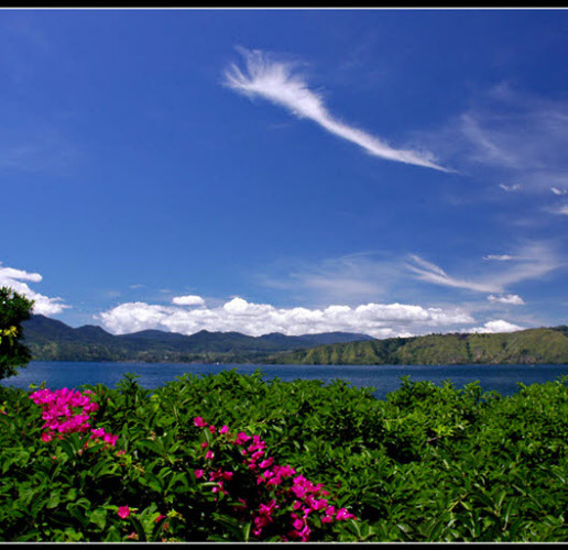 Sumatra Lake Toba Senseo Coffee Pods
